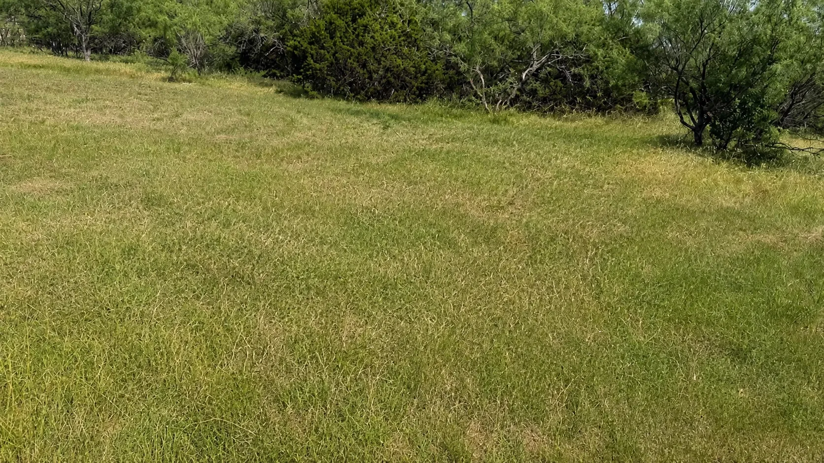 Backyard Cleanup — after