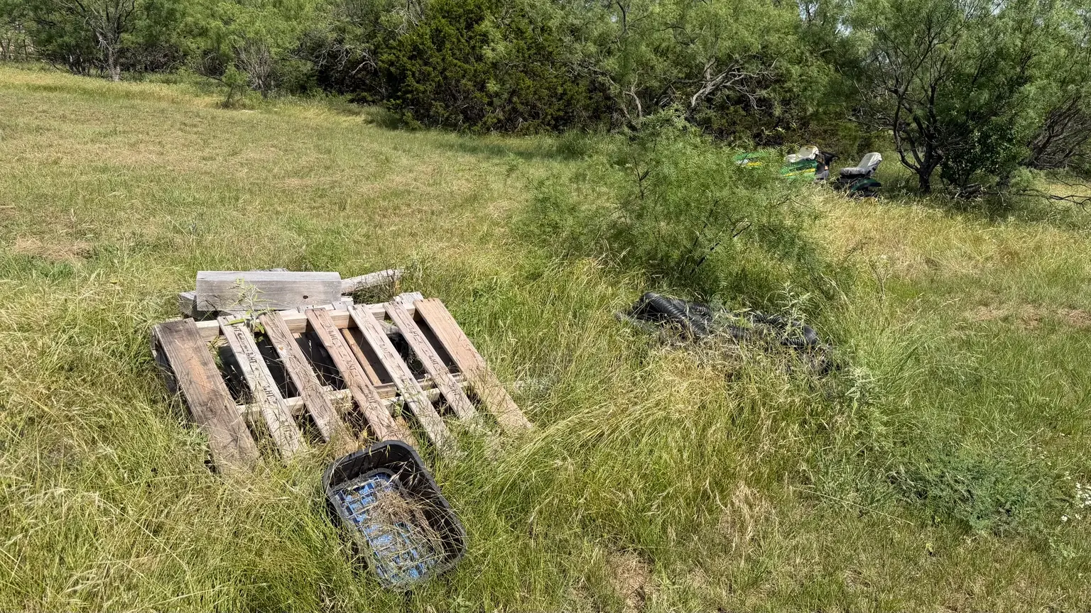Backyard Cleanup — before